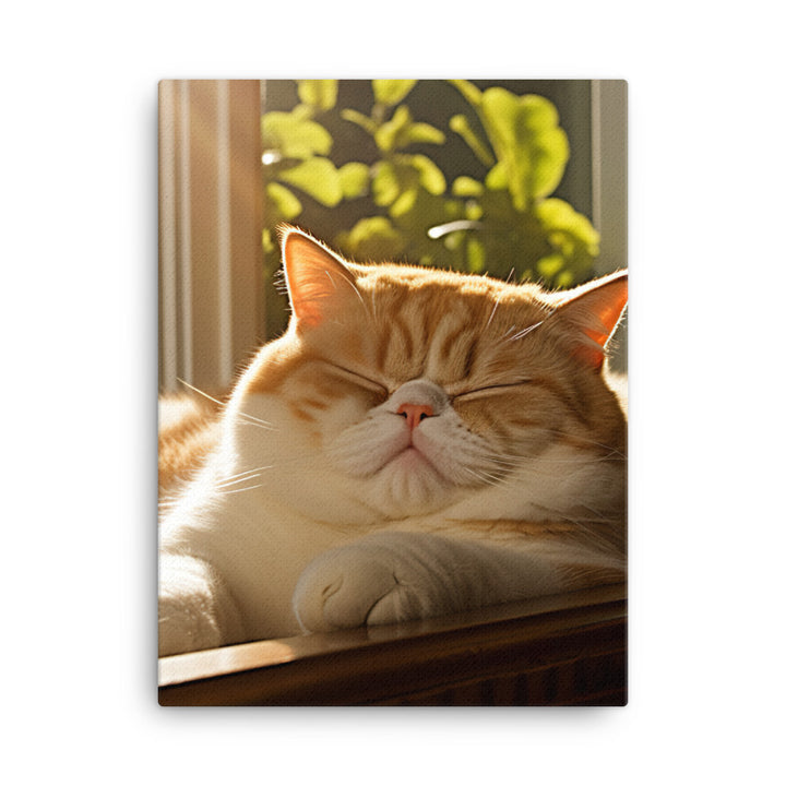 Exotic Shorthair Cat Napping Canvas - PosterfyAI.com