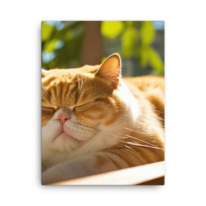 Exotic Shorthair Cat Napping Canvas - PosterfyAI.com
