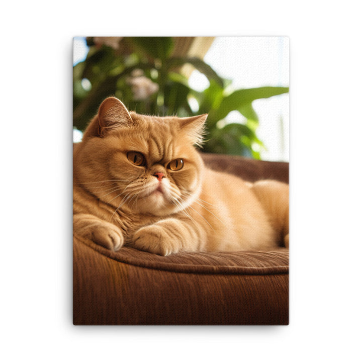Exotic Shorthair Cat Lounging Canvas - PosterfyAI.com