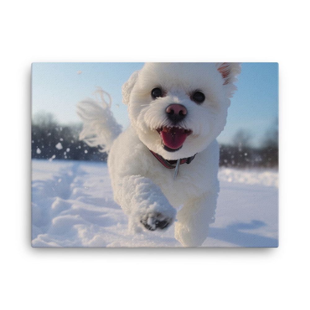 Bichon Frise in the Snow canvas - Posterfy.AI