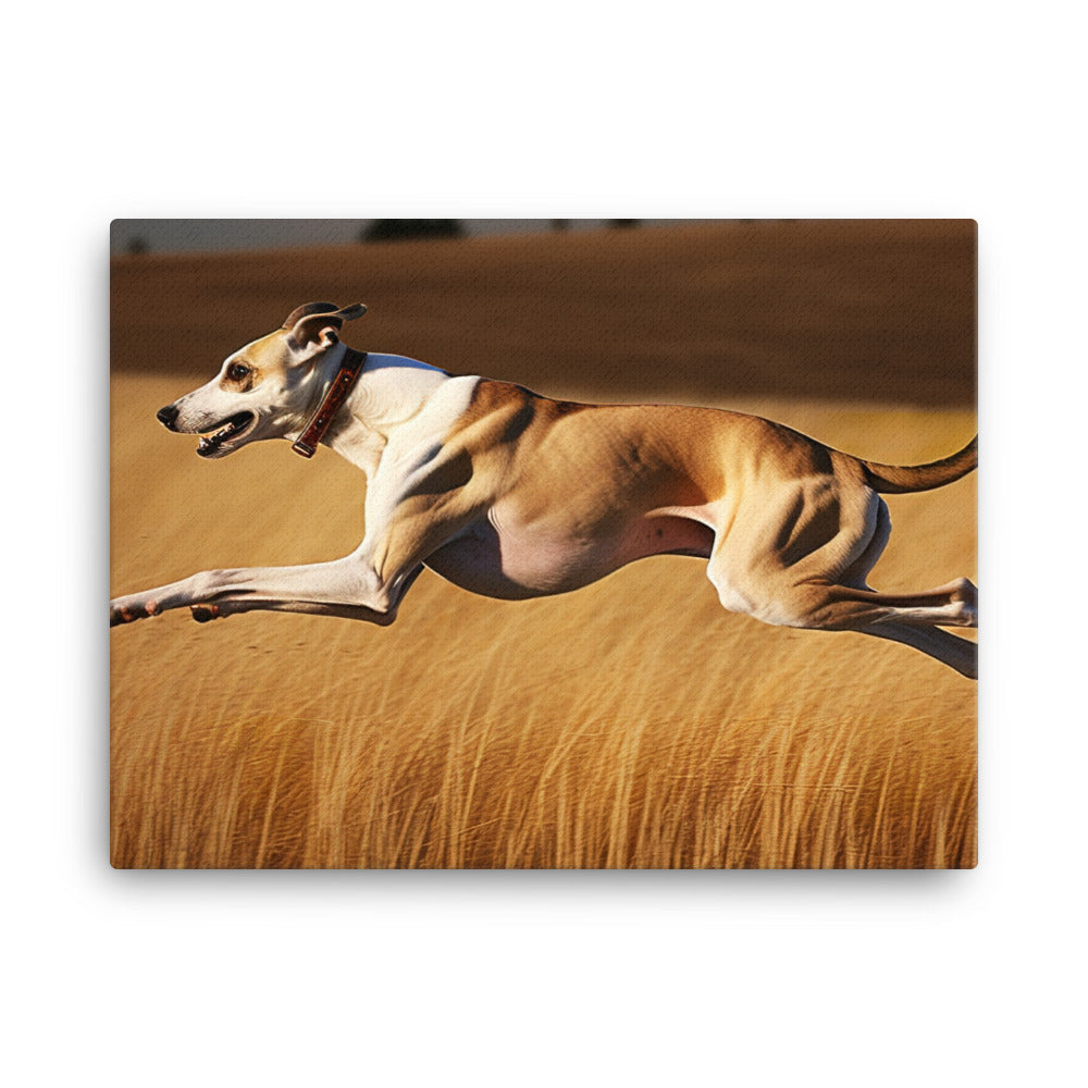 Whippet in Full Stride canvas - Posterfy.AI