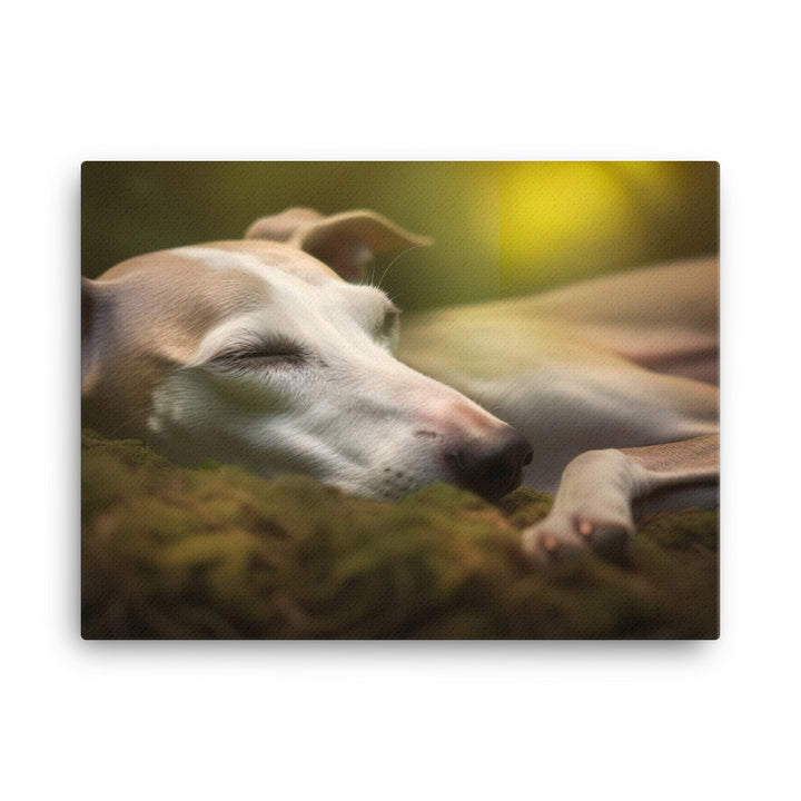 Whippet Beauty Sleep canvas - Posterfy.AI