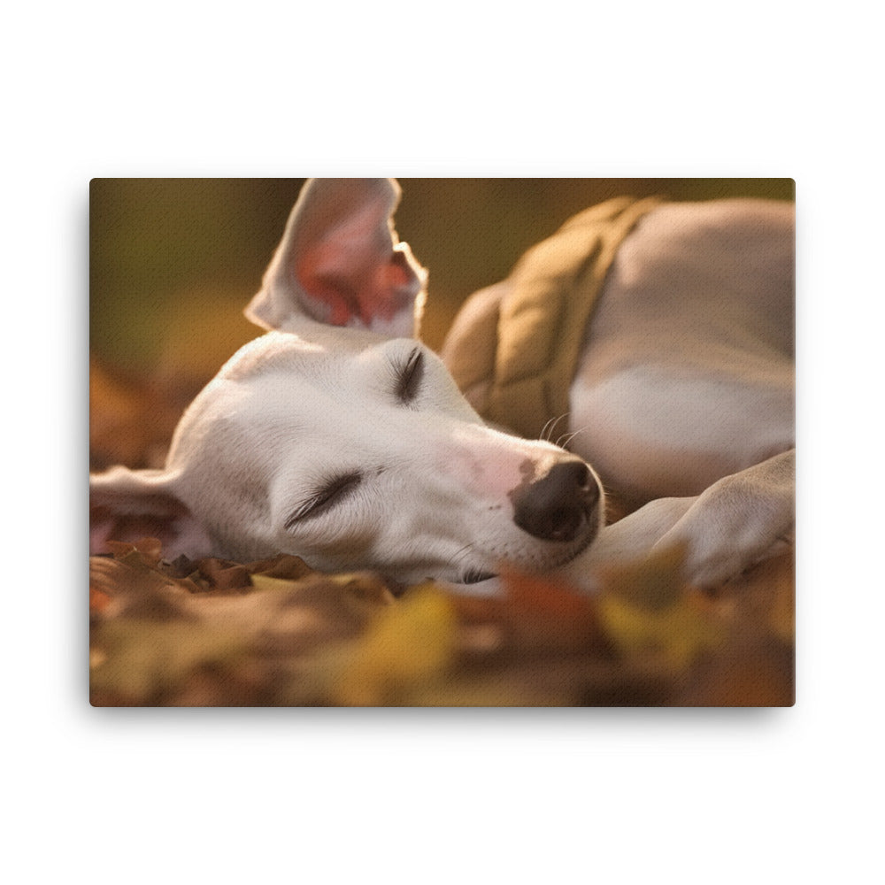 Whippet Beauty Sleep canvas - Posterfy.AI