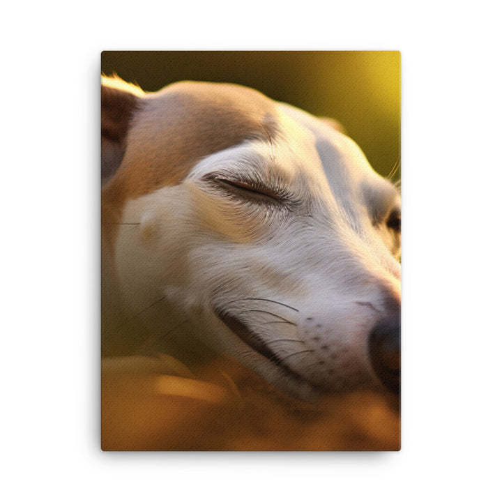Whippet Beauty Sleep Canvas - PosterfyAI.com