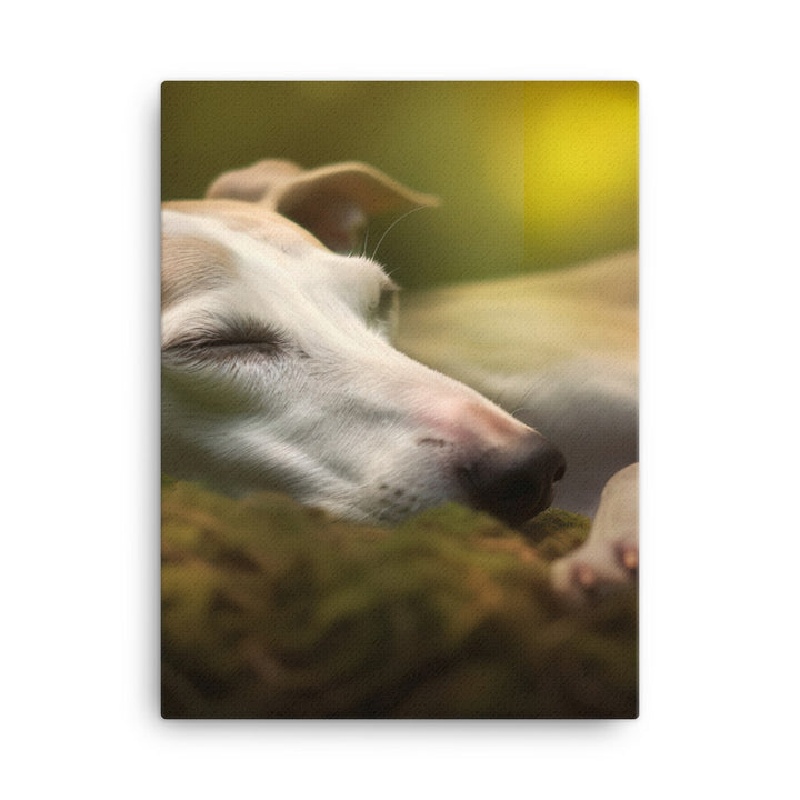 Whippet Beauty Sleep Canvas - PosterfyAI.com