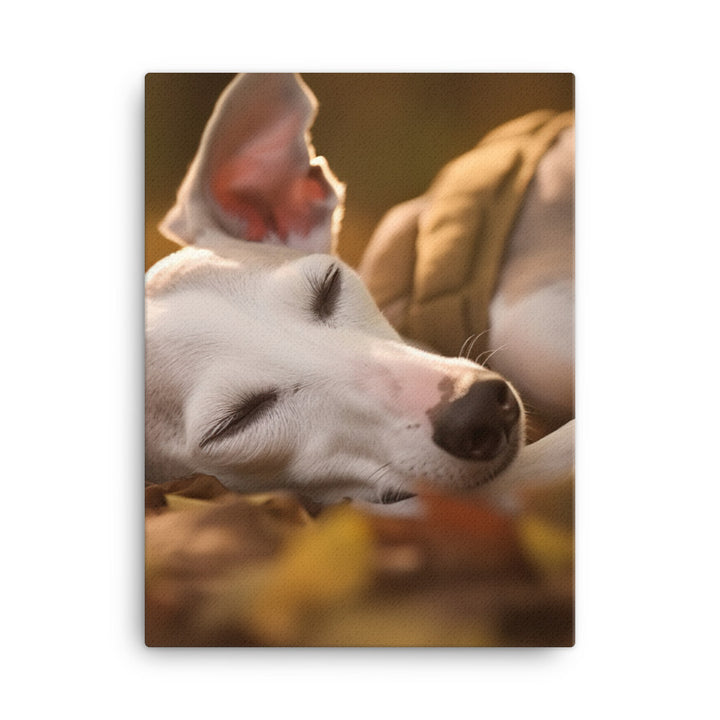 Whippet Beauty Sleep Canvas - PosterfyAI.com