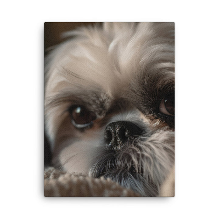Relaxed Shih Tzu in a Cozy Home Canvas - PosterfyAI.com