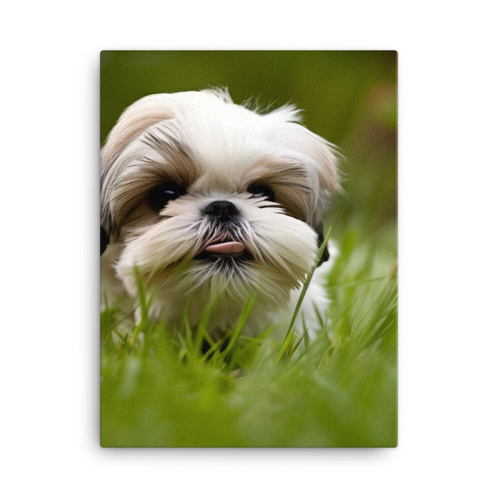 Playful Shih Tzu Enjoying the Outdoors Canvas - PosterfyAI.com