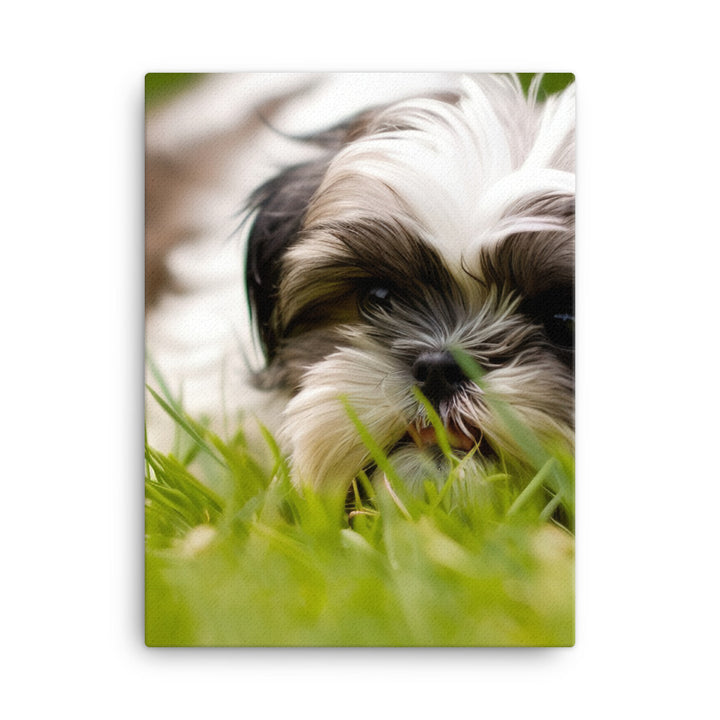 Playful Shih Tzu Enjoying the Outdoors Canvas - PosterfyAI.com
