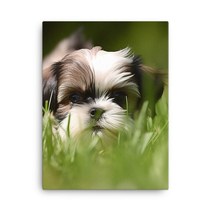 Playful Shih Tzu Enjoying the Outdoors Canvas - PosterfyAI.com