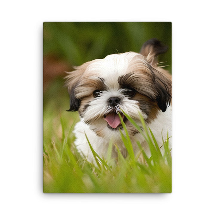 Playful Shih Tzu Enjoying the Outdoors Canvas - PosterfyAI.com
