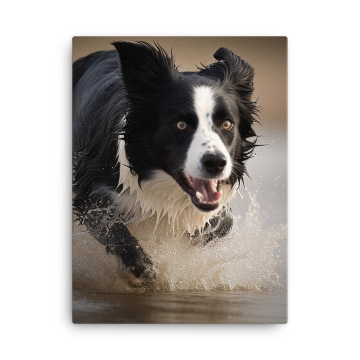Energetic Border Collie in Action Canvas - PosterfyAI.com