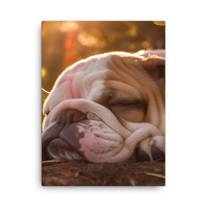 Cute Bulldog in the Sun Canvas - PosterfyAI.com