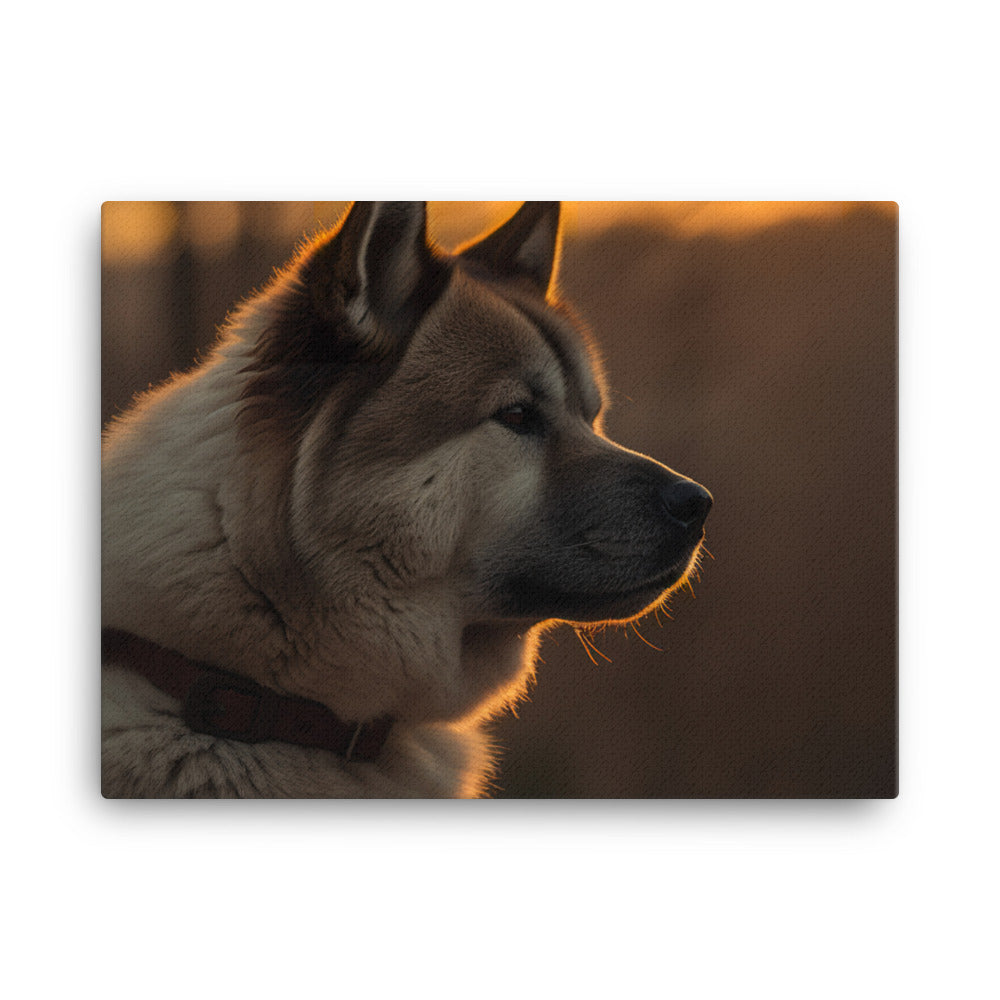 Noble Akita Gazing at the Sunset canvas - Posterfy.AI