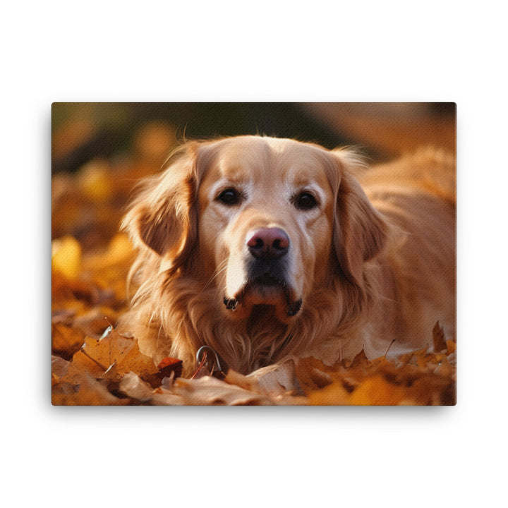 Golden Retriever in the Fall canvas - Posterfy.AI