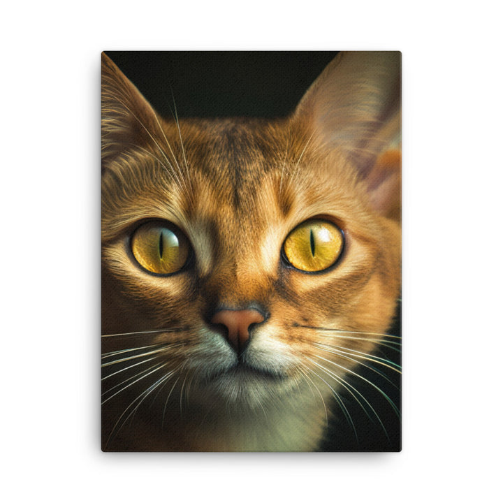 Eyes of Abyssinian Cat Canvas - PosterfyAI.com