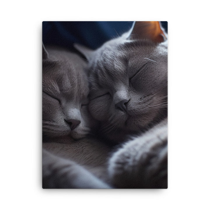 British Shorthair Cat Canvas - PosterfyAI.com