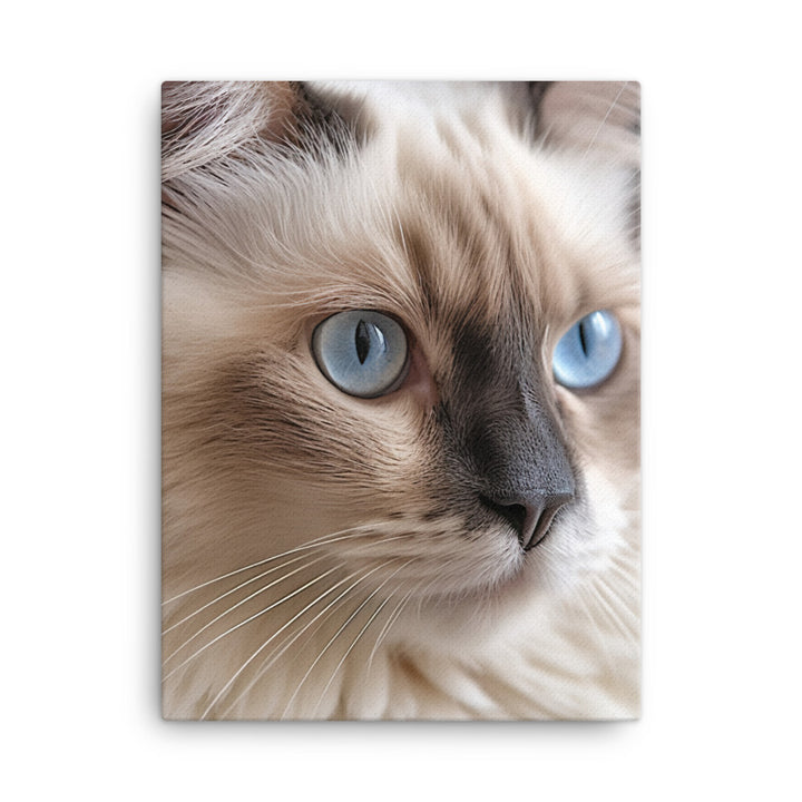 Gentle Nature of Ragdoll Cat Canvas - PosterfyAI.com