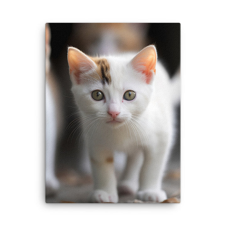 Japanese Bobtail Kitten Canvas - PosterfyAI.com