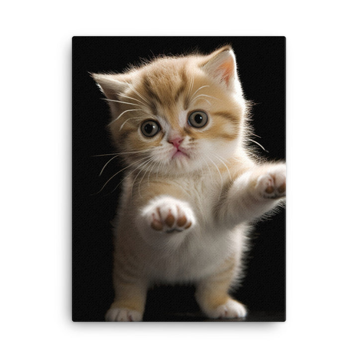 Exotic Shorthair Kitten Canvas - PosterfyAI.com