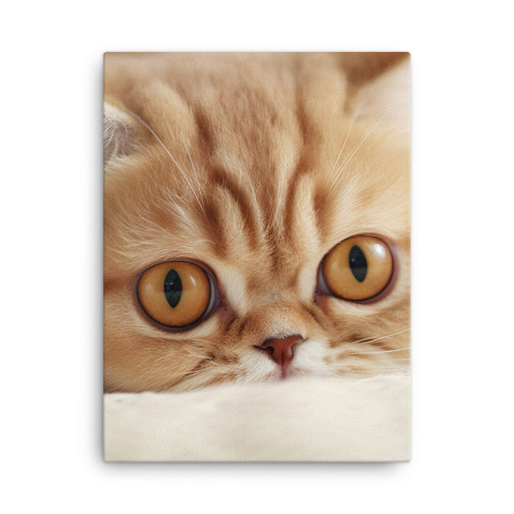 Exotic Shorthair Kitten Canvas - PosterfyAI.com