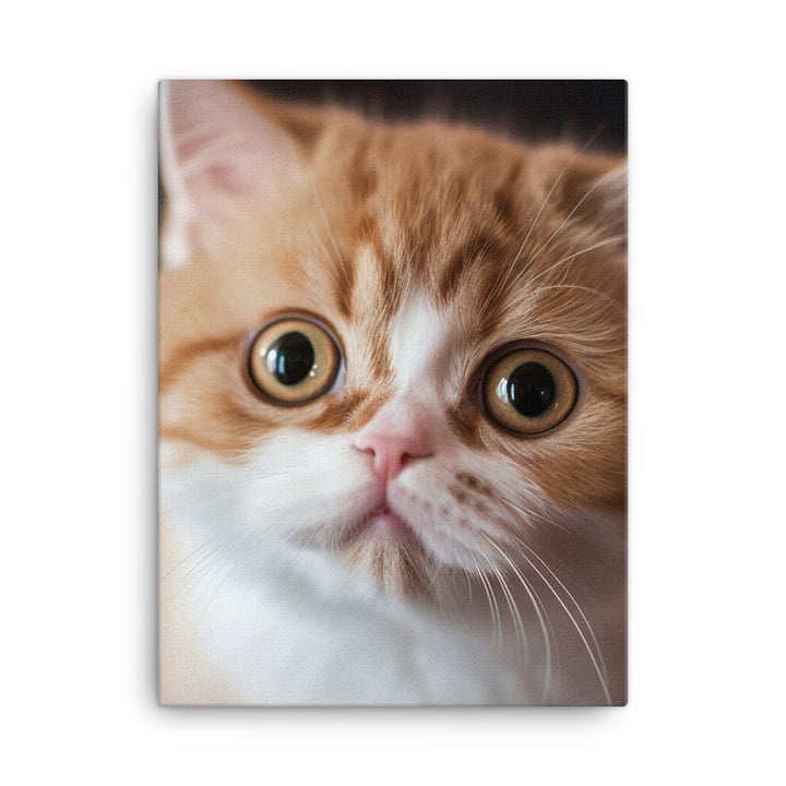 Exotic Shorthair Kitten Canvas - PosterfyAI.com