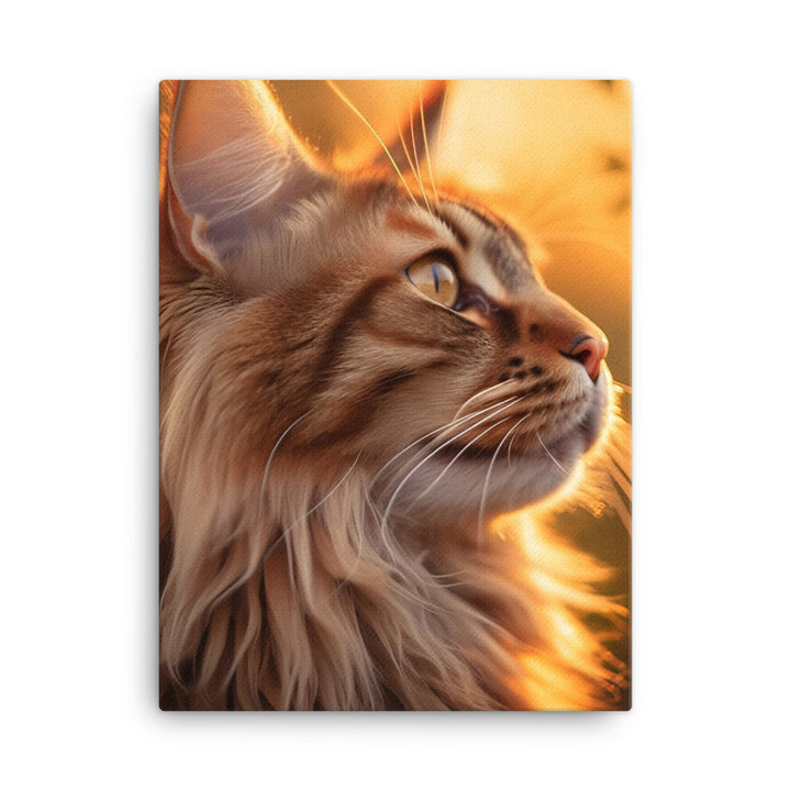 Maine Coon Elegance in Golden Hour Canvas - PosterfyAI.com