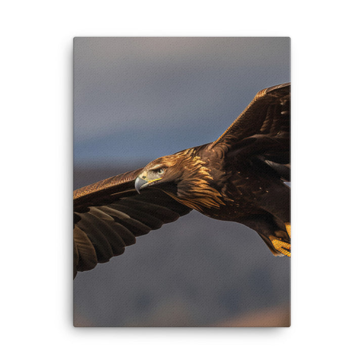 Golden Eagle soaring high in the sky Canvas - PosterfyAI.com