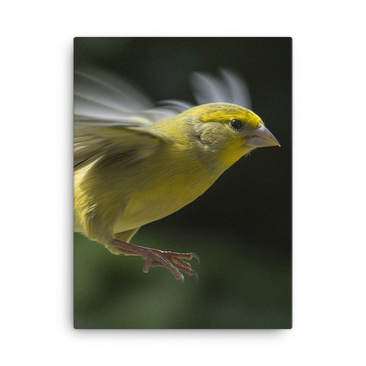 Canary in flight Canvas - PosterfyAI.com