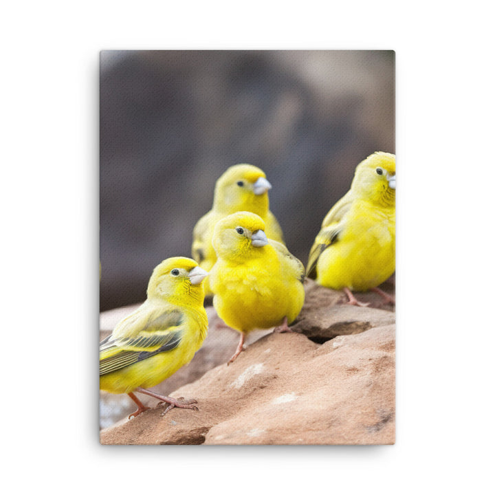 Canaries in a natural habitat Canvas - PosterfyAI.com