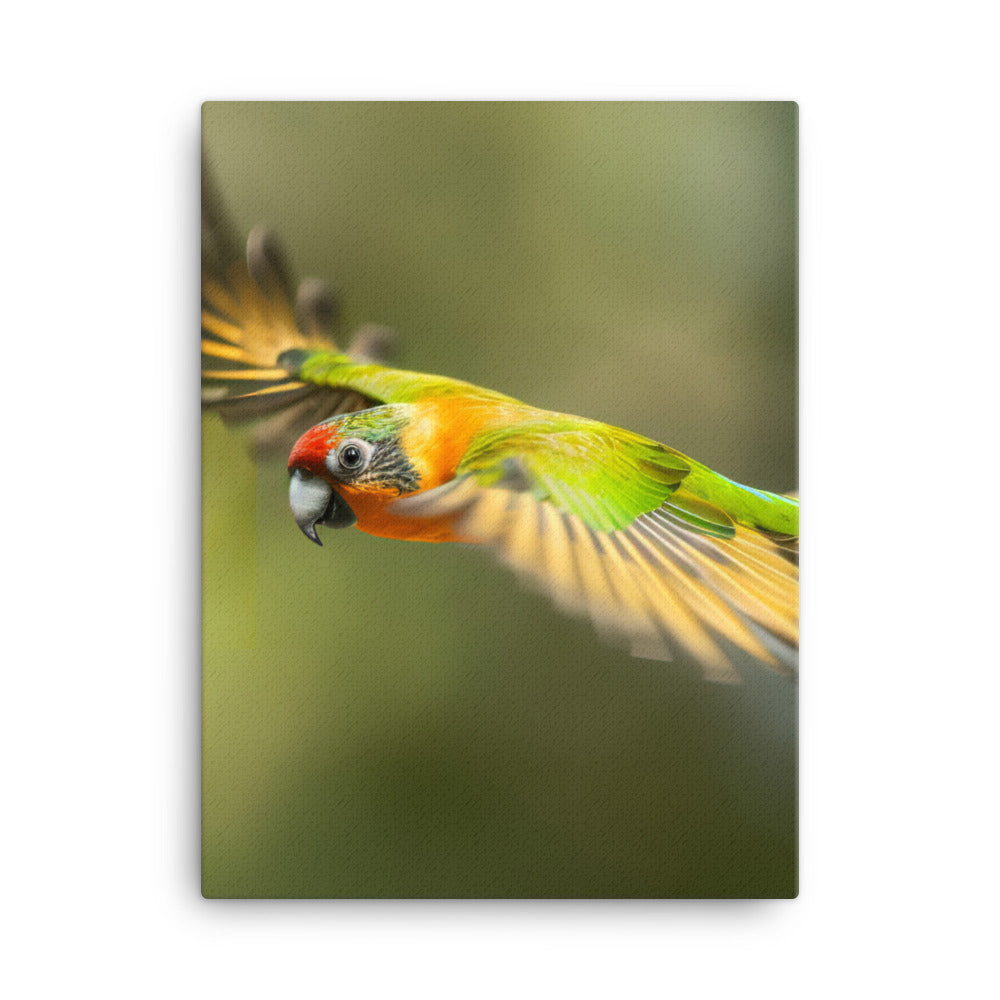 A Conure in mid flight Canvas - PosterfyAI.com