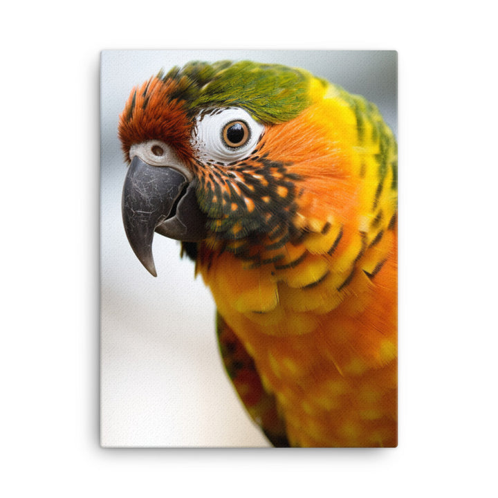 A colorful Conure perched on a branch Canvas - PosterfyAI.com