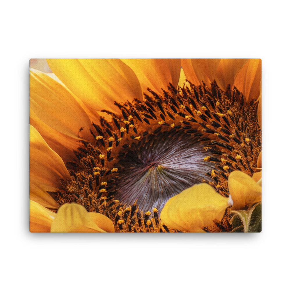 Luminous Watercolor Journey with Sunflowers canvas - Posterfy.AI