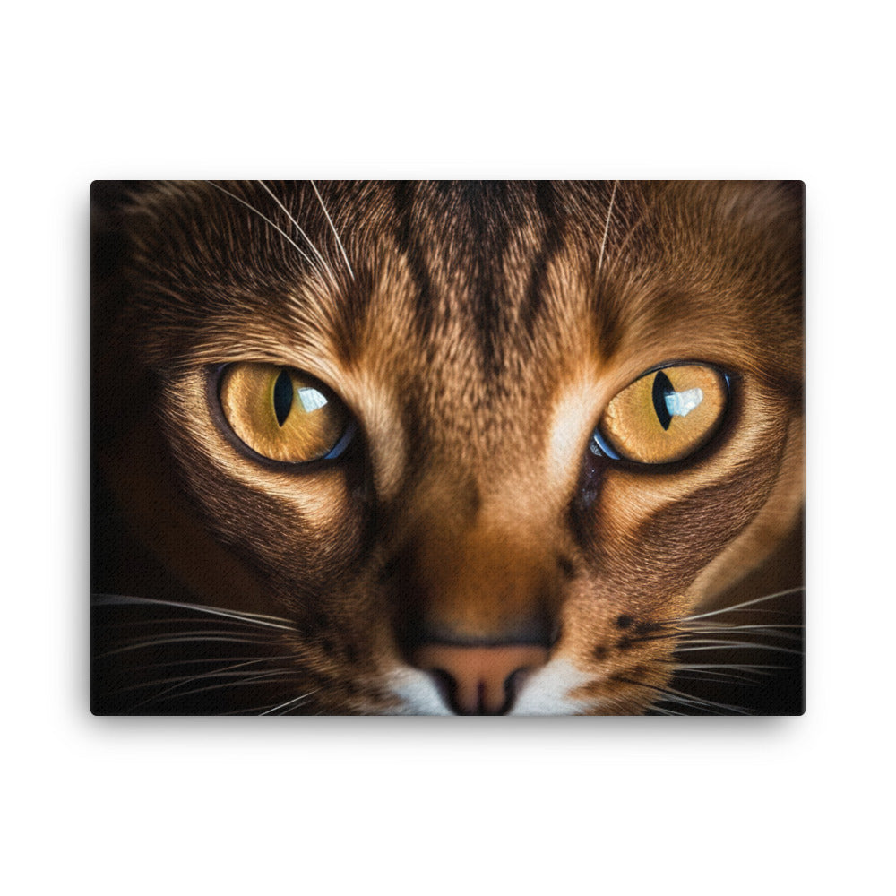 Abyssinian Cat Peering canvas - Posterfy.AI