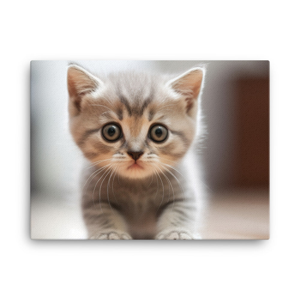 British Shorthair Kitten canvas - Posterfy.AI