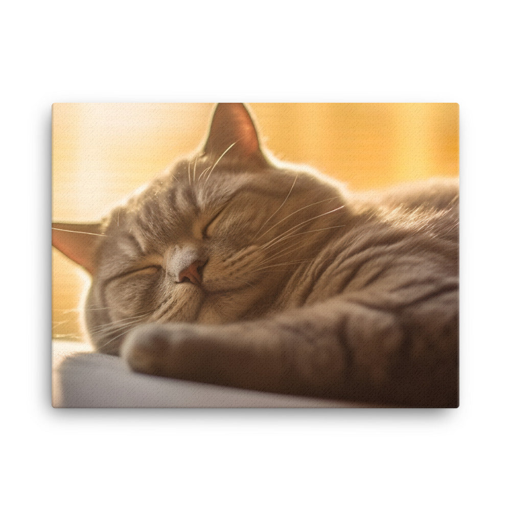 British Shorthair Cat Relaxing canvas - Posterfy.AI