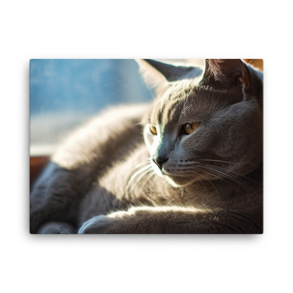 Serene Russian Blue Cat canvas - Posterfy.AI