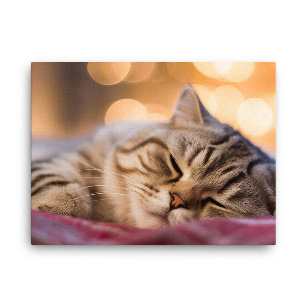 Serenity of a Scottish Fold canvas - Posterfy.AI