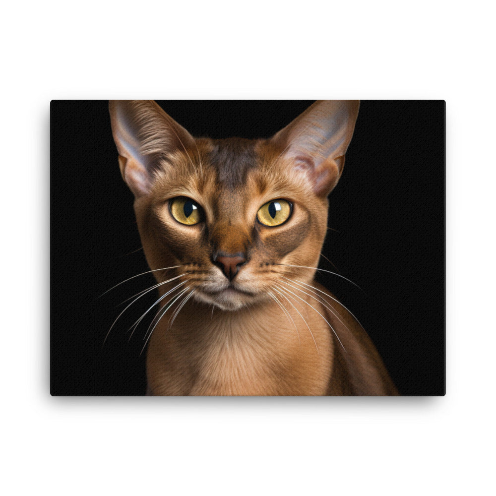 Sleek and Shiny Burmese canvas - Posterfy.AI