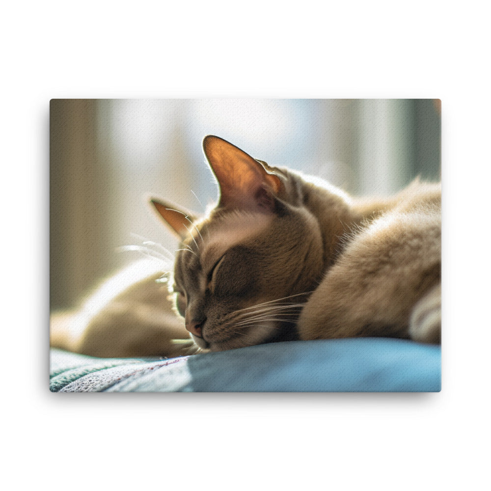 Burmese in Repose canvas - Posterfy.AI