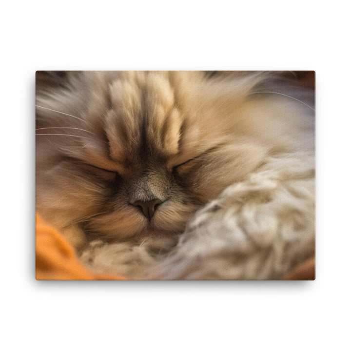 Himalayan Cats Cozy Naptime canvas - Posterfy.AI