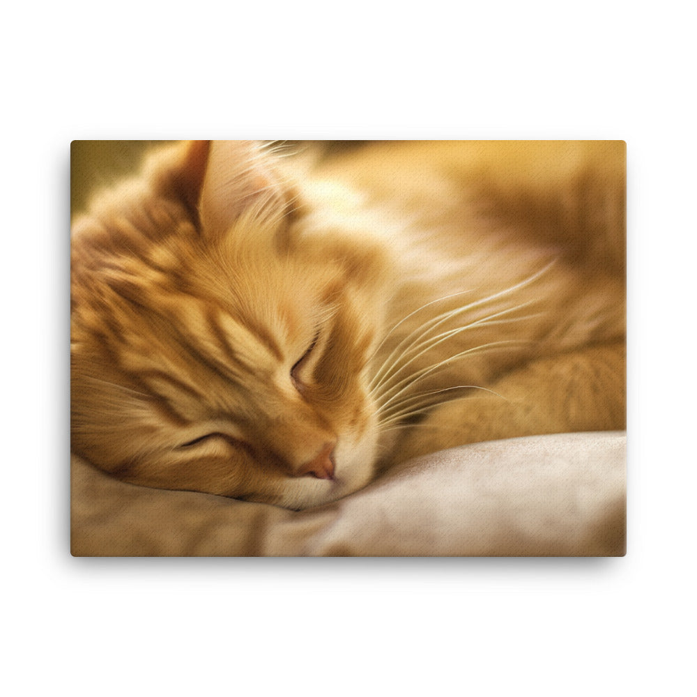 Somali Cat Napping canvas - Posterfy.AI
