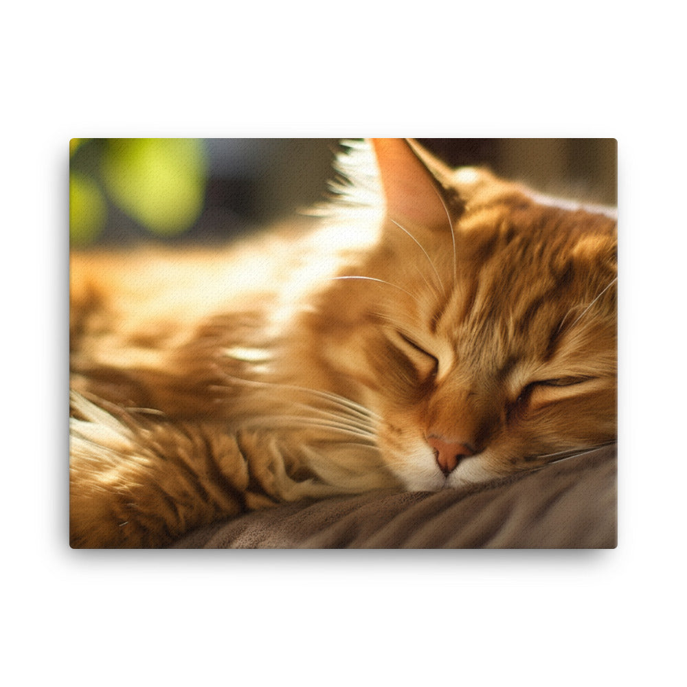 Somali Cat Napping canvas - Posterfy.AI