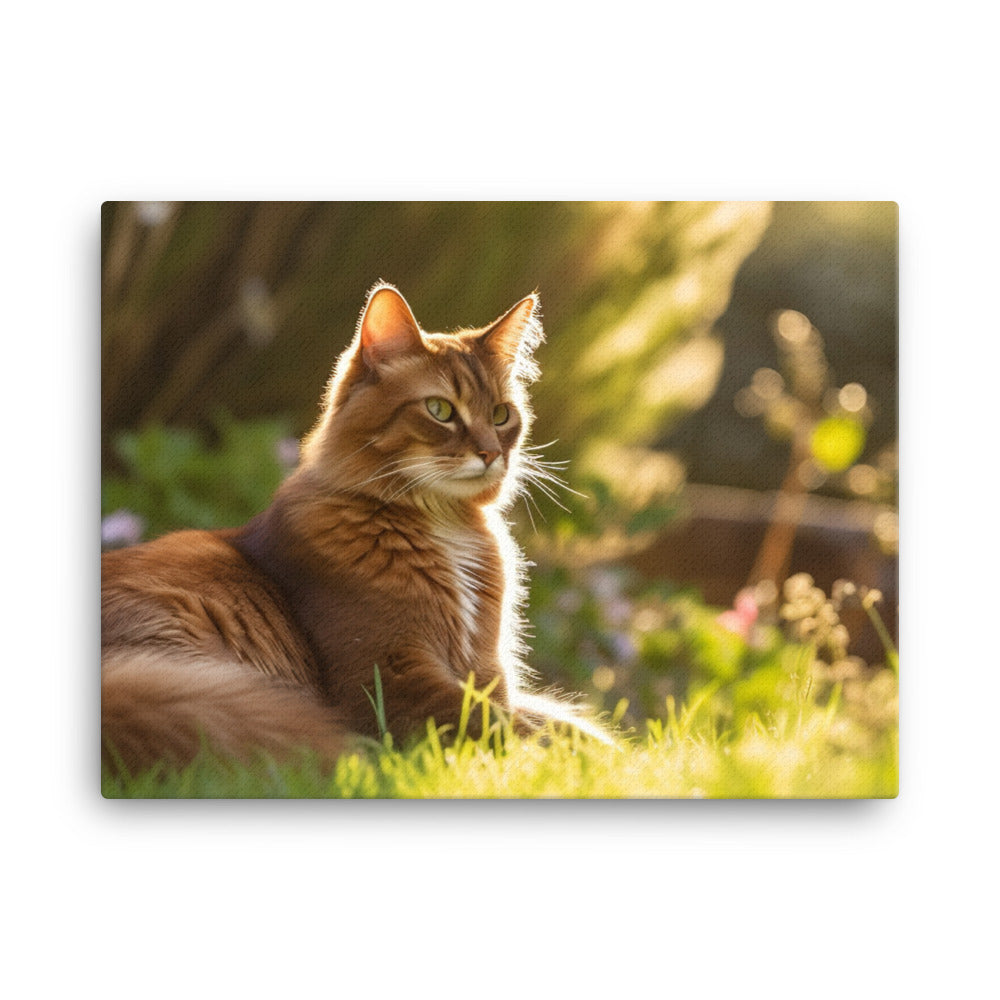 Graceful Somali Cat canvas - Posterfy.AI