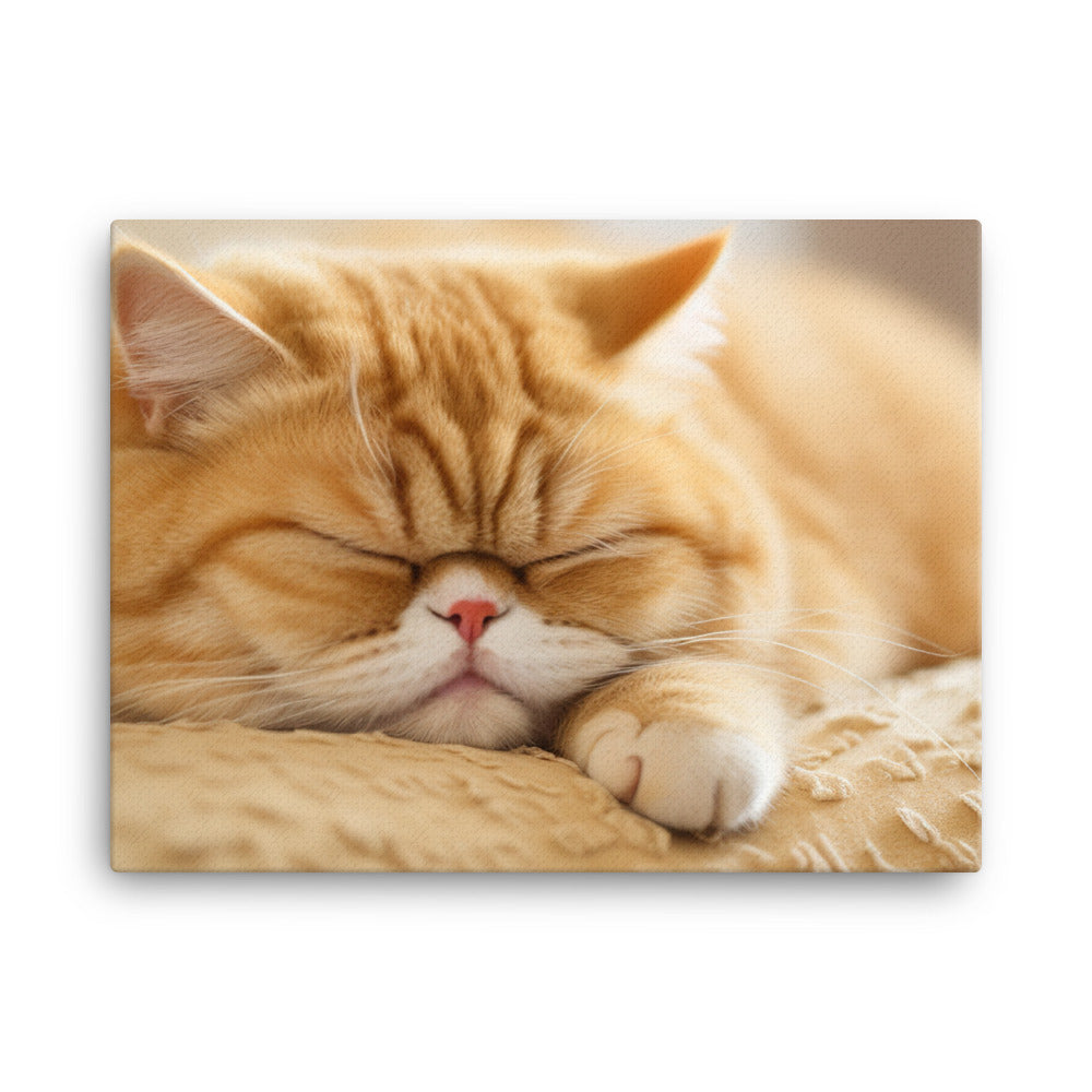 Exotic Shorthair Cat Taking a Nap canvas - Posterfy.AI
