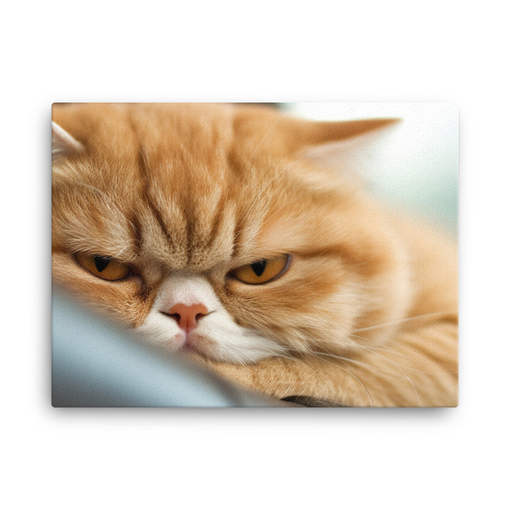 Exotic Shorthair Cat on a Lap canvas - Posterfy.AI
