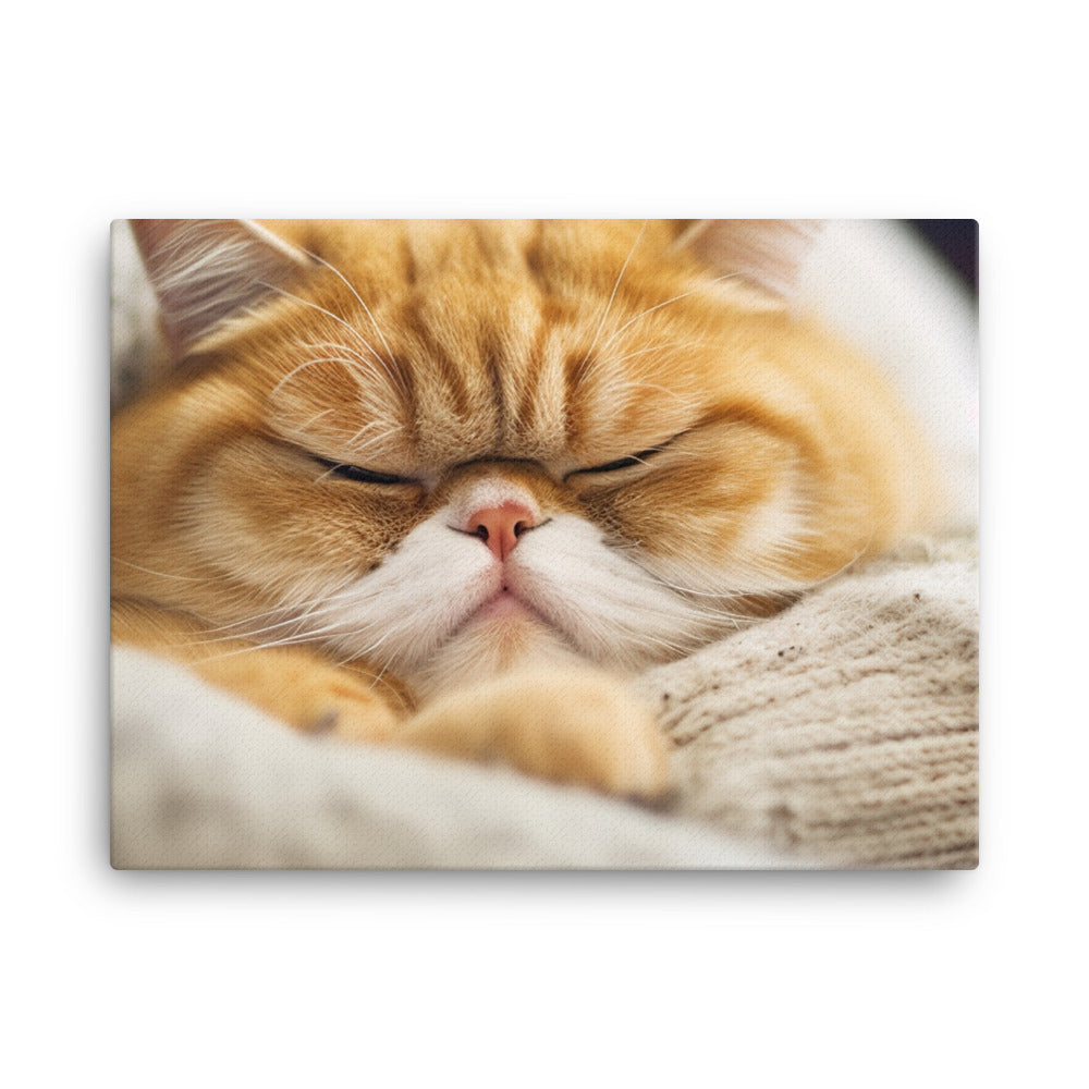 Exotic Shorthair Cat on a Lap canvas - Posterfy.AI