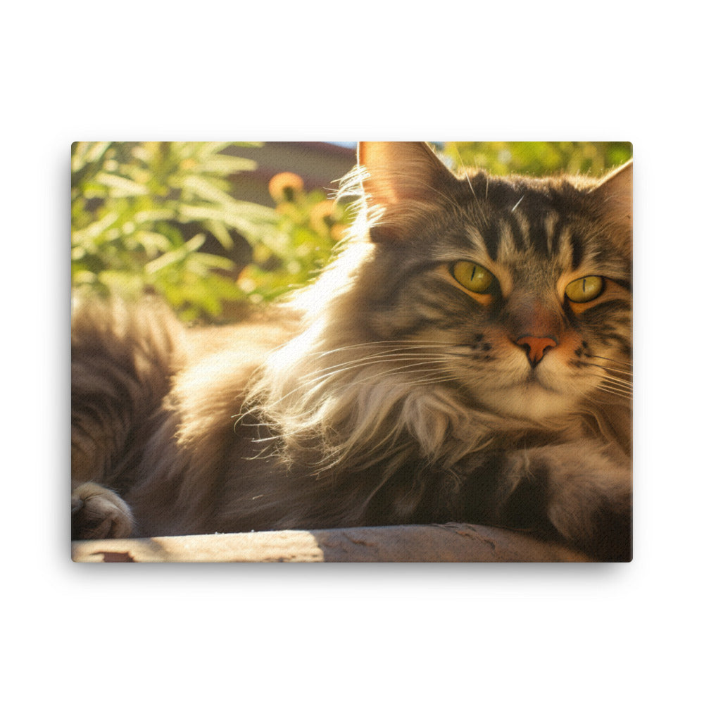 Maine Coon lounging canvas - Posterfy.AI