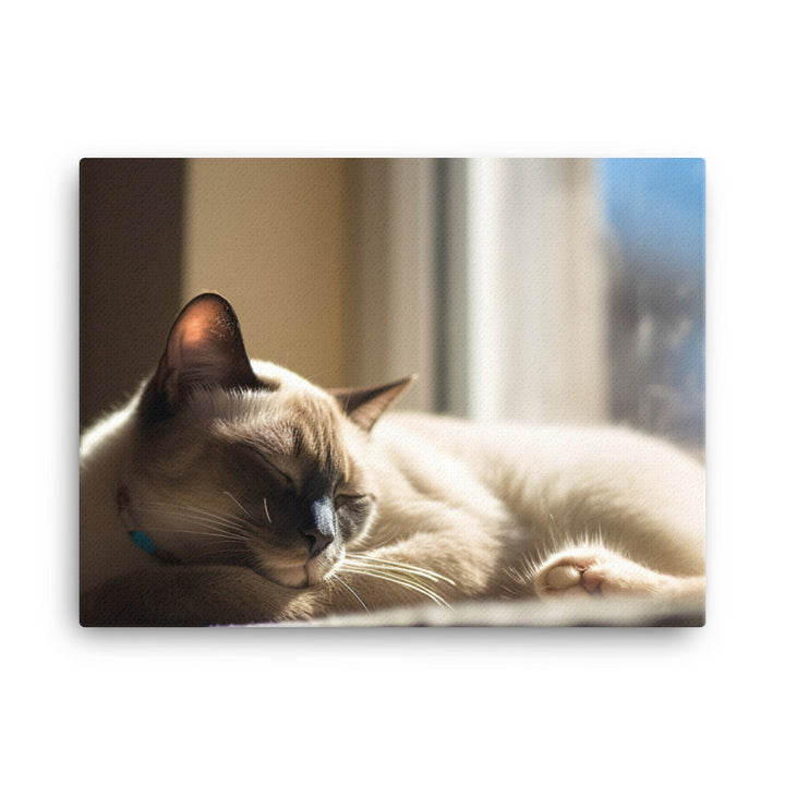 Sleeping Siamese on a Windowsill canvas - Posterfy.AI