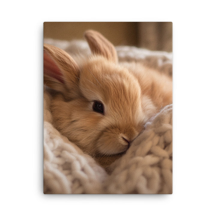 Jersey Wooly Bunny in a Cozy Setting Canvas - PosterfyAI.com